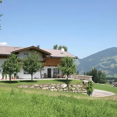 Hollaus * 菲根贝格